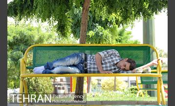 بوستان هفت چنار 28