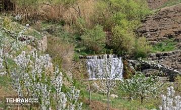 هوای بهاری منطقه 22 38