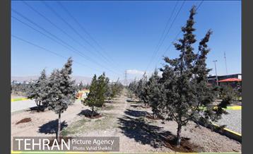 آیین افتتاح پروژه های منطقه 21 1