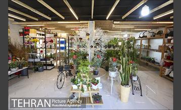 مرکز گل و گیاه ایوار 28