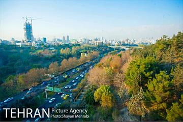پاییز پل طبیعت 18