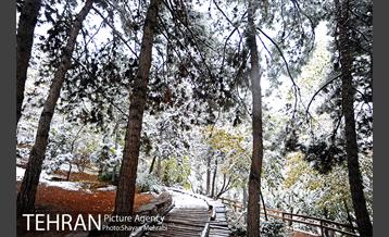 بارش برف پاییزی در بوستان طالقانی 37