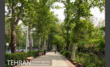 بوستان نیاوران 16