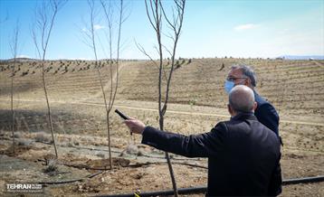 نهال کاری شهردار تهران و رئیس جمهور به مناسبت روز درختکاری 2