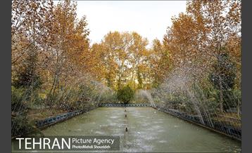 بوستان اندیشه(شهید منفرد نیاکی) 13