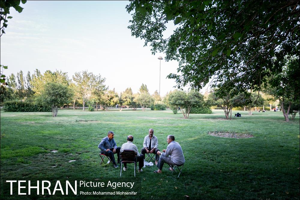 شهرنگار؛ بوستان قائم 30