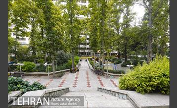 بوستان شطرنج 5