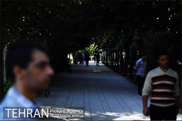 بوستان هنرمندان (ایرانشهر) 13
