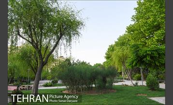 بوستان پلیس 14