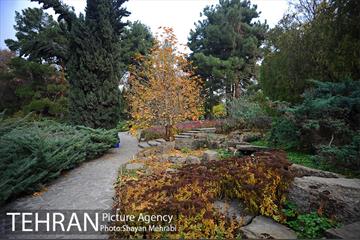 باغ گیاه‌شناسی ملی ایران 52