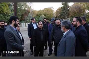 بازدید کمیسیون برنامه و بودجه شورای شهر از پروژه‌های منطقه 11 49