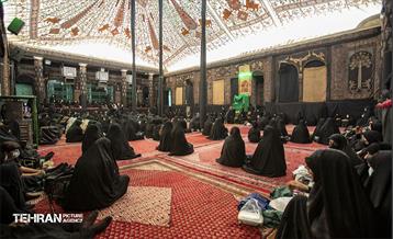 تکیه سادات اخوی (8)