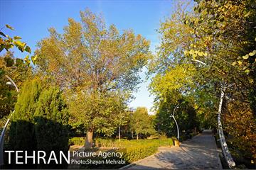 طبیعت پاییزی بوستان لاله 2