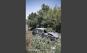 توتستان های طرشت، طعم شیرین طهران قدیم 4