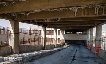 جای خالی پروانه ها 10