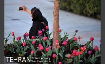 برج میلاد میزبان لاله های بهاری و تخم مرغ های رنگی 27