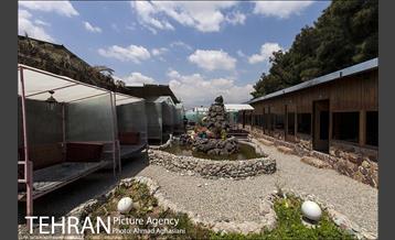 بوستان جنگلی سرخه حصار 18