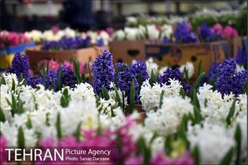 بازار گل شهید محلاتی در آستانه نوروز 15