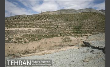 بازدید از پروژه جنگل کاری 1250 هکتاری 28