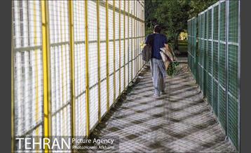 حضور شبانه مردم در بوستان بهمن‎ 9