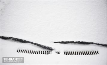 روز برفی تهران 5