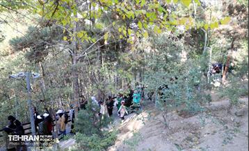 همایش‌ پیاده‌روی خانوادگی کارکنان شهرداری تهران 37