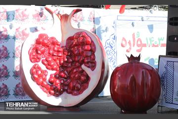 آیین یلدای مهربانی و کاشت نهال در بوستان سرخه حصار 7