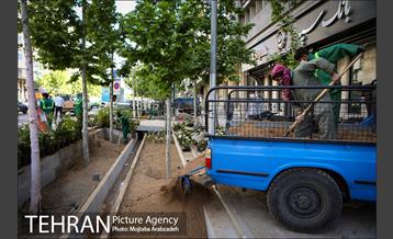 گلکاری در خیابان ولیعصر 2