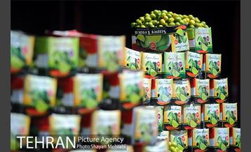 بازار میوه تربار مرکزی 13