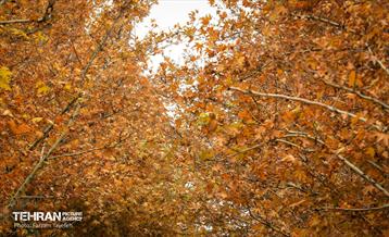 گذرگاه های پاییزی پایتخت - منطقه 5