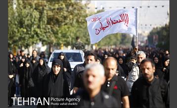 پیاده روی جامندگان اربعین حسینی (ع) در تهران 13