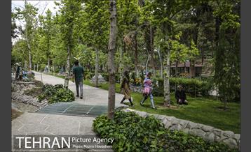 بوستان ساعی 6