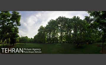 بوستان لاله 1