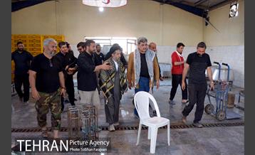 بازدید پیروز حناچی از موکب‌های مسیر نجف تا کربلا 20