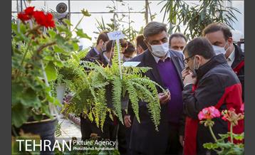 پویش سه شنبه های بدون خودرو در منطقه 8