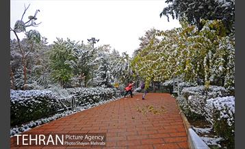 بارش برف پاییزی در بوستان طالقانی 3