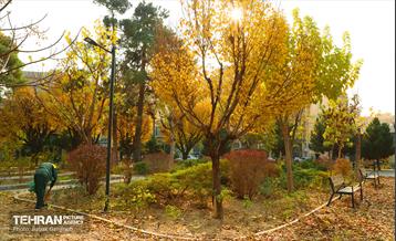 گذرگاه های پاییزی پایتخت - منطقه 13