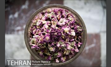 مغازه عطاری و داروهای گیاهی 10