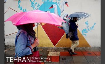 بارش باران بهاری در تهران  19