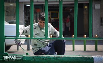 طرح بهار جان‌ها در منطقه 8 23