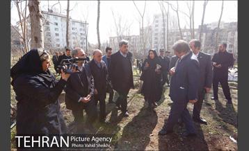 باز آفرینی باغ عبقری منطقه ۲ 13