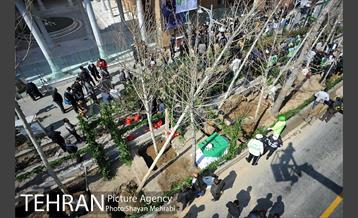 احیای درختان خیابان  ولیعصر( عج) با حضور شهردار تهران  41