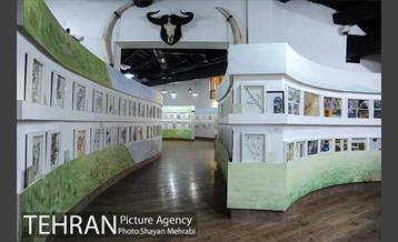 موزه طبیعت و حیات وحش دارآباد تهران 30