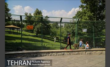 بوستان ملت 14