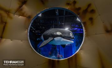 اقیانوس پارک  9