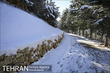 طبیعت برفی تلو 24