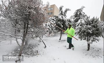 صبح آدینه برفی  26