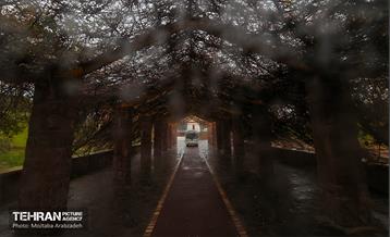 بازدید شهردار تهران از منطقه فرهنگی و گردشگری عباس اباد 26