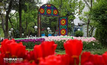 تهران زیبای من؛ منطقه 7