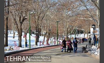 فصل زمستان در بوستان ملت 45